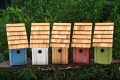 Heartwood Bluebird Bunkhouse Bird House-Natural